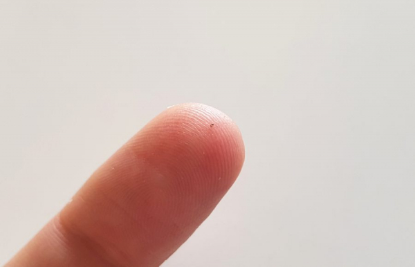 Мастерская. Ключ в фитнес-браслете