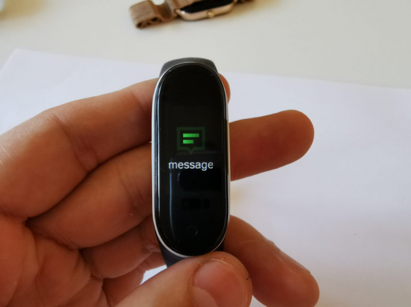 Ключ в браслете, но уже от производителя. Smarterra FitMaster Ton