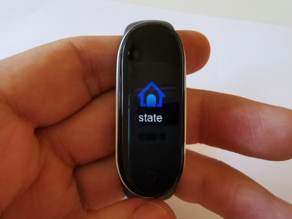 Ключ в браслете, но уже от производителя. Smarterra FitMaster Ton