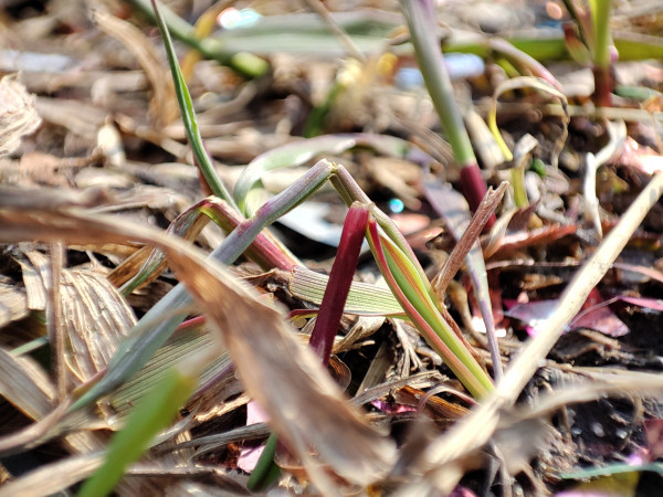 Обзор Xiaomi Mi 11: горячая штучка!