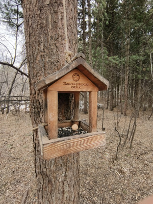 Обзор Tecno Phantom V Fold: доступная раскладушка