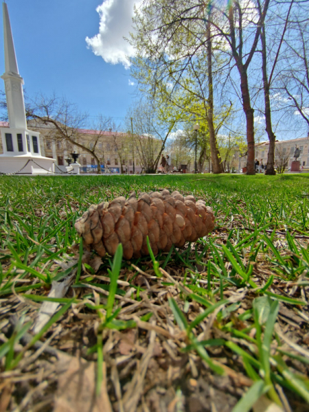 Обзор Meizu 20 Pro: игрофон с нюансами