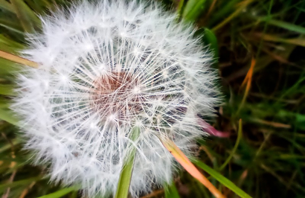 Обзор Cubot P80: недорогого смартфона копии с дизайном iPhone