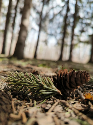 Обзор Tecno Phantom V Fold: доступная раскладушка