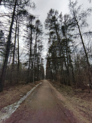 Обзор Tecno Phantom V Fold: доступная раскладушка