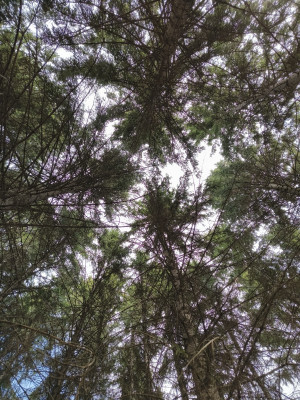 Обзор Tecno Phantom V Fold: доступная раскладушка