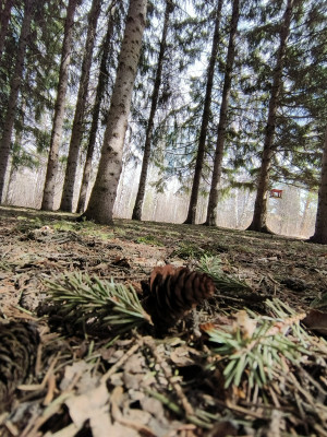 Обзор Tecno Phantom V Fold: доступная раскладушка