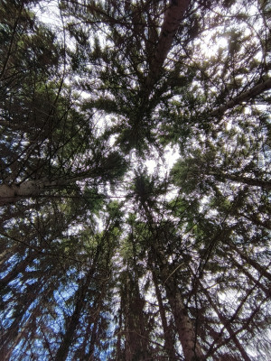 Обзор Tecno Phantom V Fold: доступная раскладушка