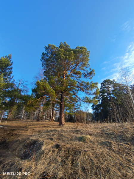 Обзор Meizu 20 Pro: игрофон с нюансами