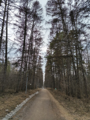 Обзор Tecno Phantom V Fold: доступная раскладушка