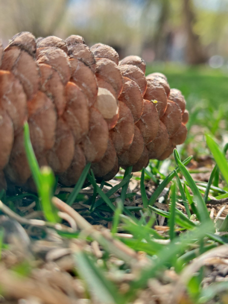 Обзор Meizu 20 Pro: игрофон с нюансами