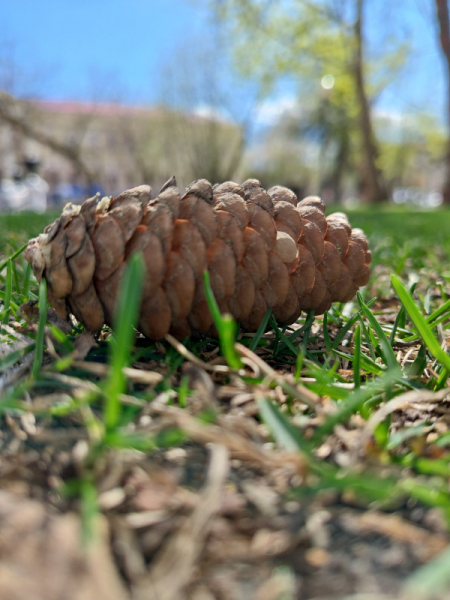 Обзор Meizu 20 Pro: игрофон с нюансами