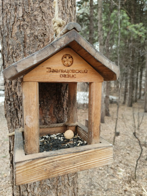 Обзор Tecno Phantom V Fold: доступная раскладушка