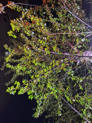 Обзор POCO F5 и F5 Pro: народные флагманы &ndash; 2023?