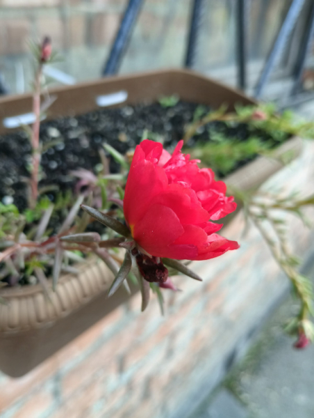 Обзор Blackview BV9300: павербанк со встроенным телефоном