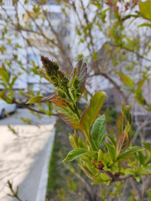 Обзор POCO F5 и F5 Pro: народные флагманы &ndash; 2023?