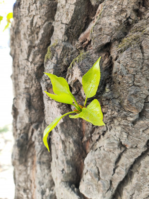 Обзор POCO F5 и F5 Pro: народные флагманы &ndash; 2023?