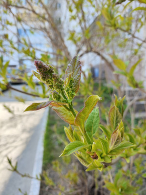 Обзор POCO F5 и F5 Pro: народные флагманы &ndash; 2023?