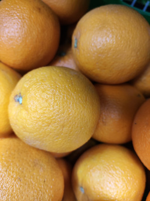 Обзор POCO F5 и F5 Pro: народные флагманы &ndash; 2023?