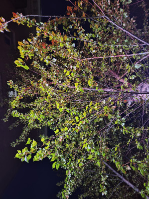 Обзор POCO F5 и F5 Pro: народные флагманы &ndash; 2023?