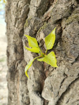 Обзор POCO F5 и F5 Pro: народные флагманы &ndash; 2023?