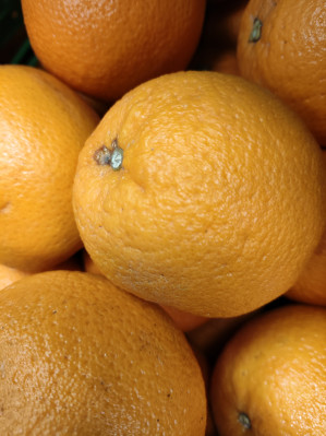 Обзор POCO F5 и F5 Pro: народные флагманы &ndash; 2023?