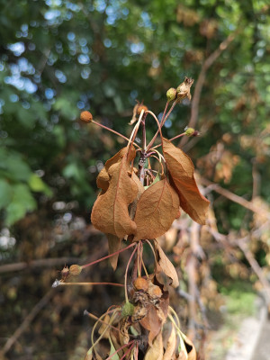 Обзор iQOO Neo 8 и Neo 8 Pro: старый друг лучше новых с плюсом