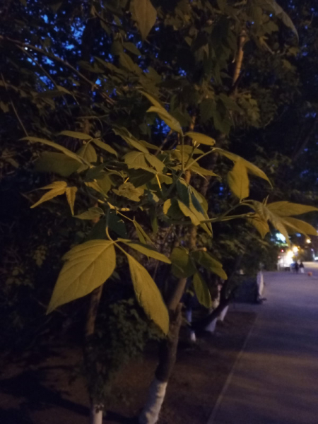 Обзор Infinix Hot 30: горячая картошка