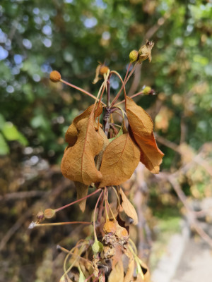 Обзор iQOO Neo 8 и Neo 8 Pro: старый друг лучше новых с плюсом