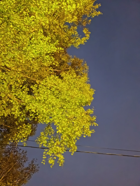 Обзор Infinix Hot 30: горячая картошка