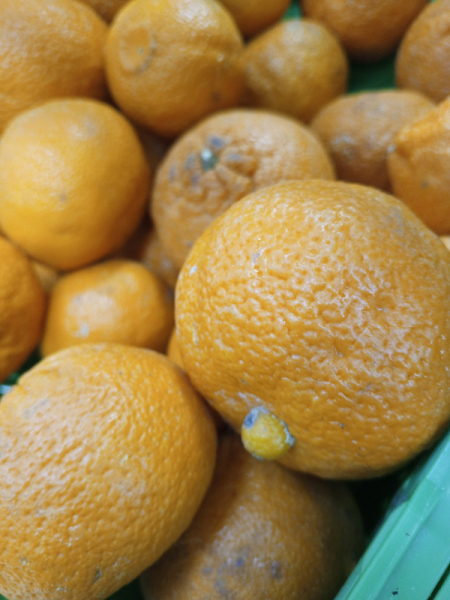 Обзор Infinix Hot 30: горячая картошка