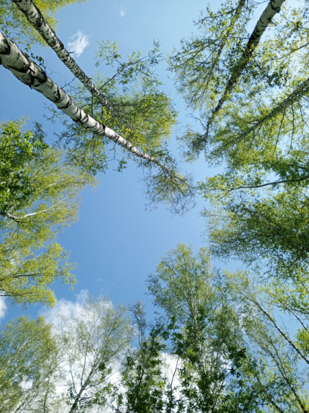 Обзор Infinix Hot 30: горячая картошка