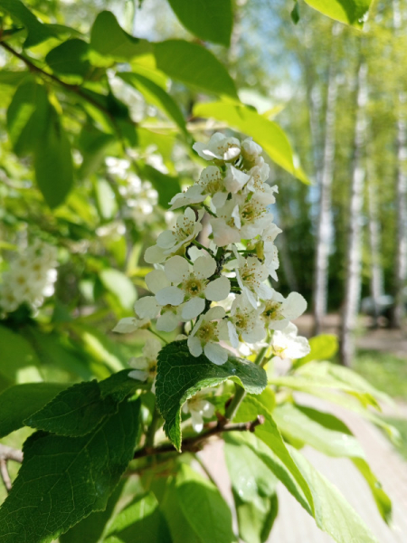 Обзор Infinix Hot 30: горячая картошка