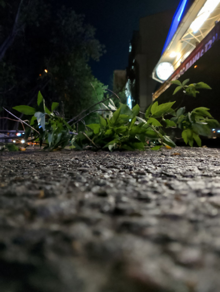 Обзор Realme C53: есть свои тонкости