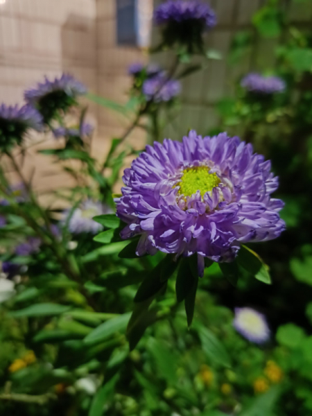 Обзор Realme 11: девять с половиной и быстрая зарядка