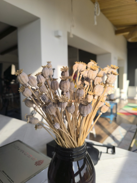 Обзор Xiaomi Redmi Note 13 Pro и Redmi Note 13 Pro+: народные решения