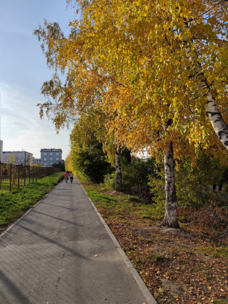 Обзор Xiaomi Redmi Note 13 Pro и Redmi Note 13 Pro+: народные решения