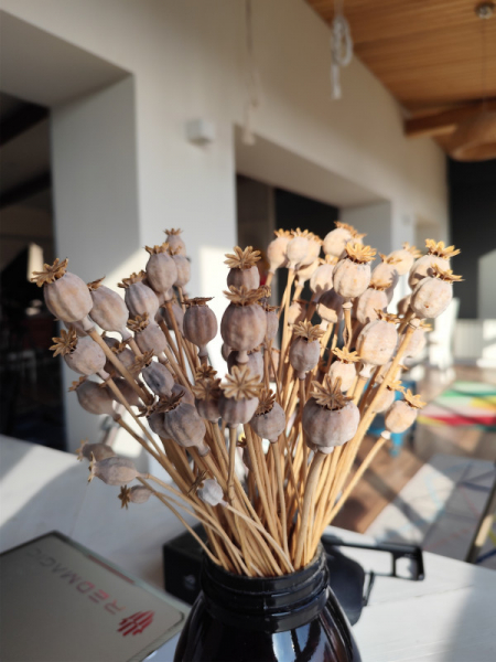 Обзор Xiaomi Redmi Note 13 Pro и Redmi Note 13 Pro+: народные решения