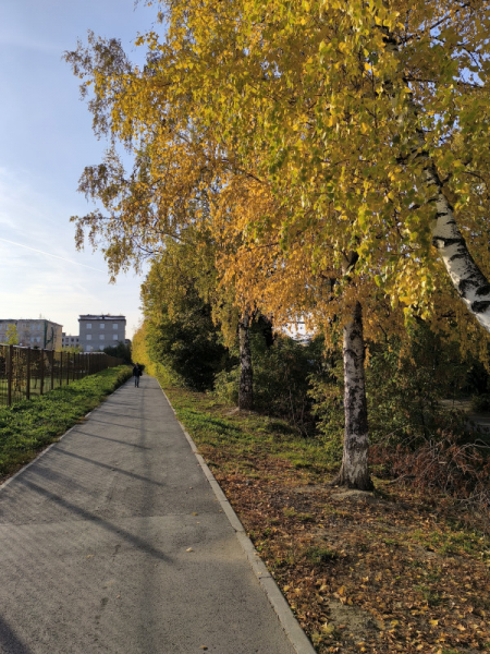 Обзор Xiaomi Redmi Note 13 Pro и Redmi Note 13 Pro+: народные решения