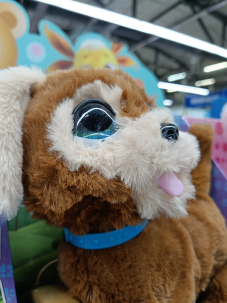 Обзор Realme 11: девять с половиной и быстрая зарядка