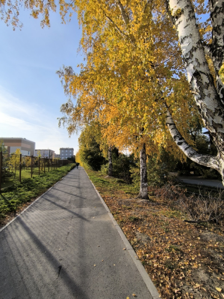 Обзор Xiaomi Redmi Note 13 Pro и Redmi Note 13 Pro+: народные решения