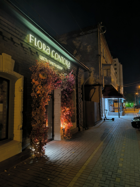 Обзор Xiaomi Redmi Note 13 Pro и Redmi Note 13 Pro+: народные решения