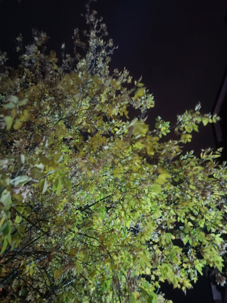 Обзор Realme 11: девять с половиной и быстрая зарядка