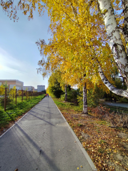 Обзор Xiaomi Redmi Note 13 Pro и Redmi Note 13 Pro+: народные решения