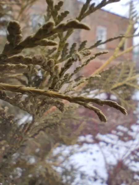 Обзор Xiaomi Redmi Note 12 Turbo: турбобюджетник или почти флагман?