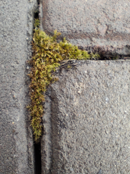 Обзор Xiaomi Redmi Note 12 Turbo: турбобюджетник или почти флагман?