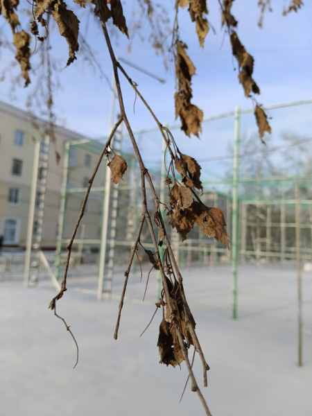 Обзор vivo T2: мы тебя узнали!