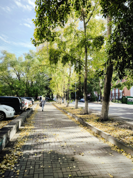 Обзор Xiaomi 13T и 13T Pro: работяги на Dimensity