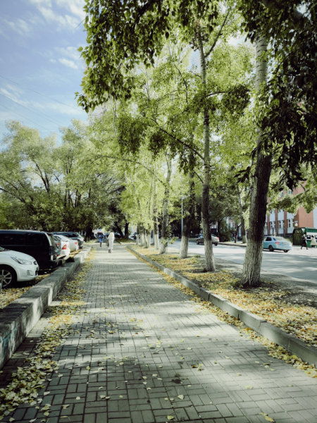 Обзор Xiaomi 13T и 13T Pro: работяги на Dimensity