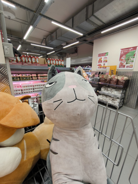 Обзор Xiaomi 13T и 13T Pro: работяги на Dimensity